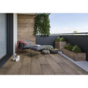 Płytka Tarasowa Willow Beige Mat 29,5x119,5 Paradyż