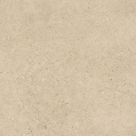 Płytka Tarasowa Authority Beige Struktura 59,5X59,5 Paradyż
