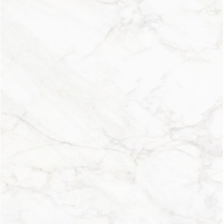 Płytka Frost White FW 01 59,7x59,7 Nowa Gala