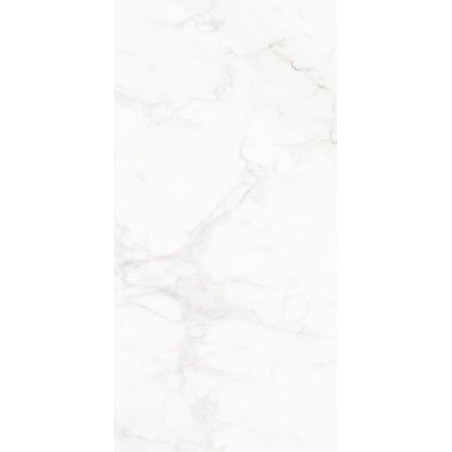Płytka Frost White FW 01 29,7x59,7 Nowa Gala