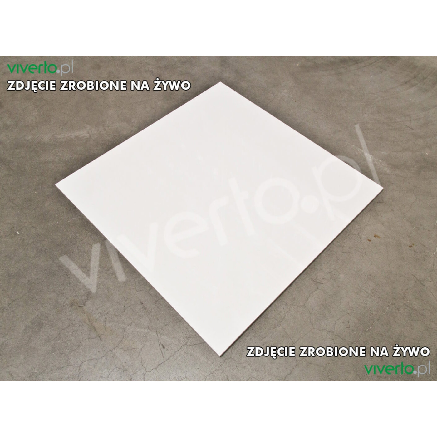 Płytka Canton Snow White Połysk 60x60 Ceramica Limone