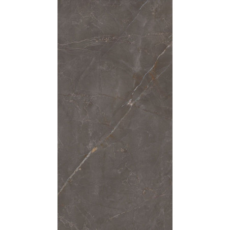 Płytka Podłogowa Elegant Look Brown 119,8x59,8 Ceramica Limone