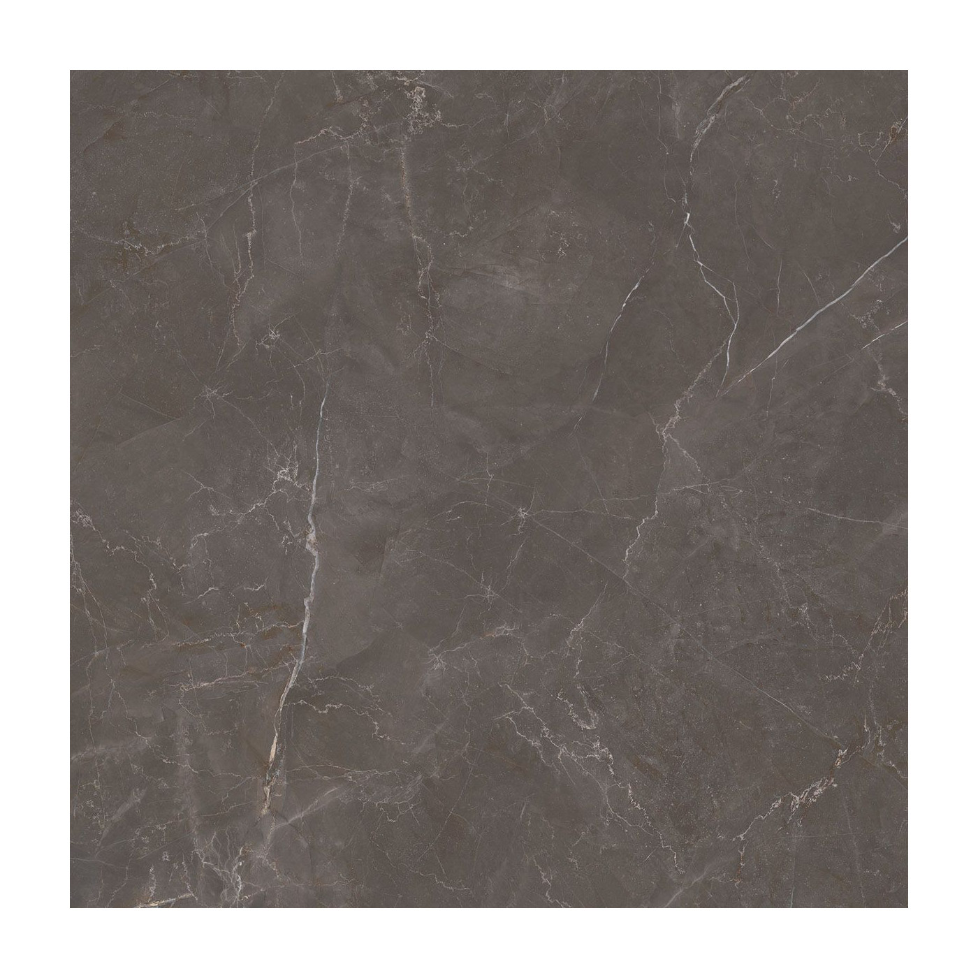 Płytka Podłogowa Elegant Look Brown 119,8x119,8 Ceramica Limone