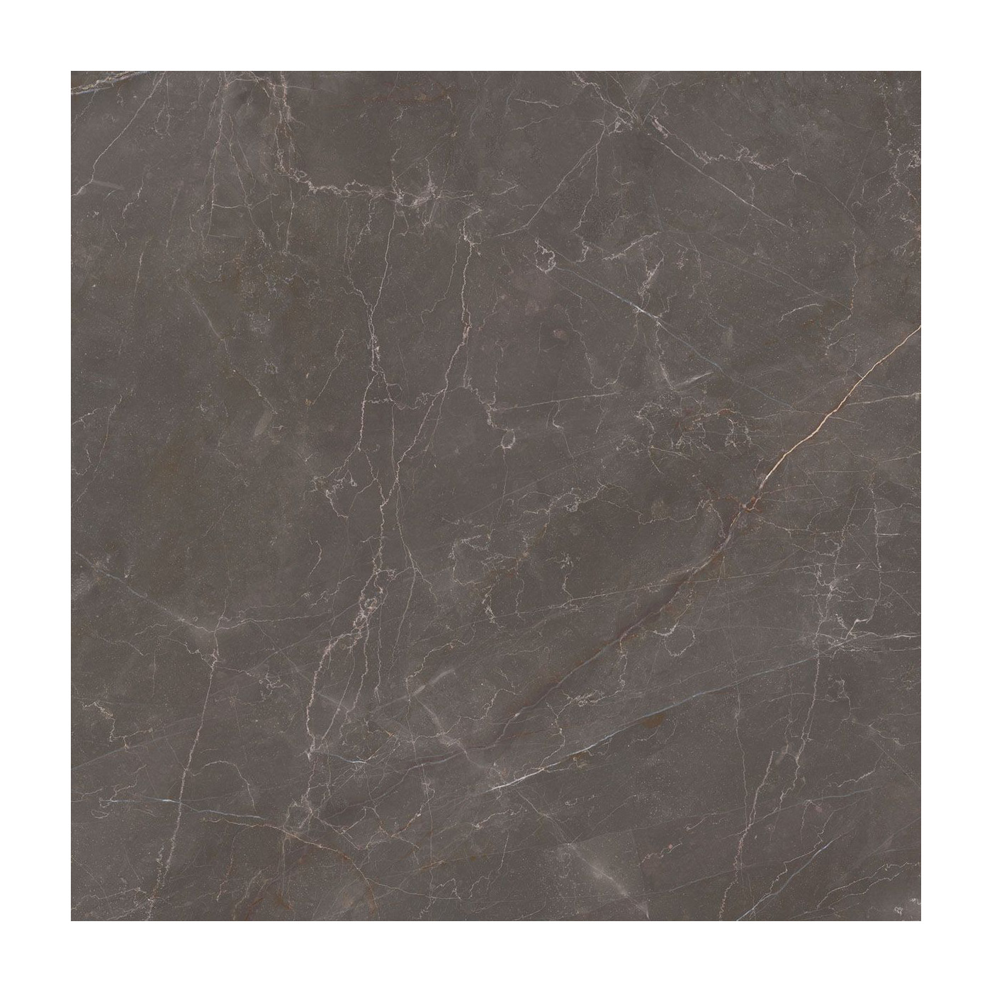Płytka Podłogowa Elegant Look Brown 119,8x119,8 Ceramica Limone