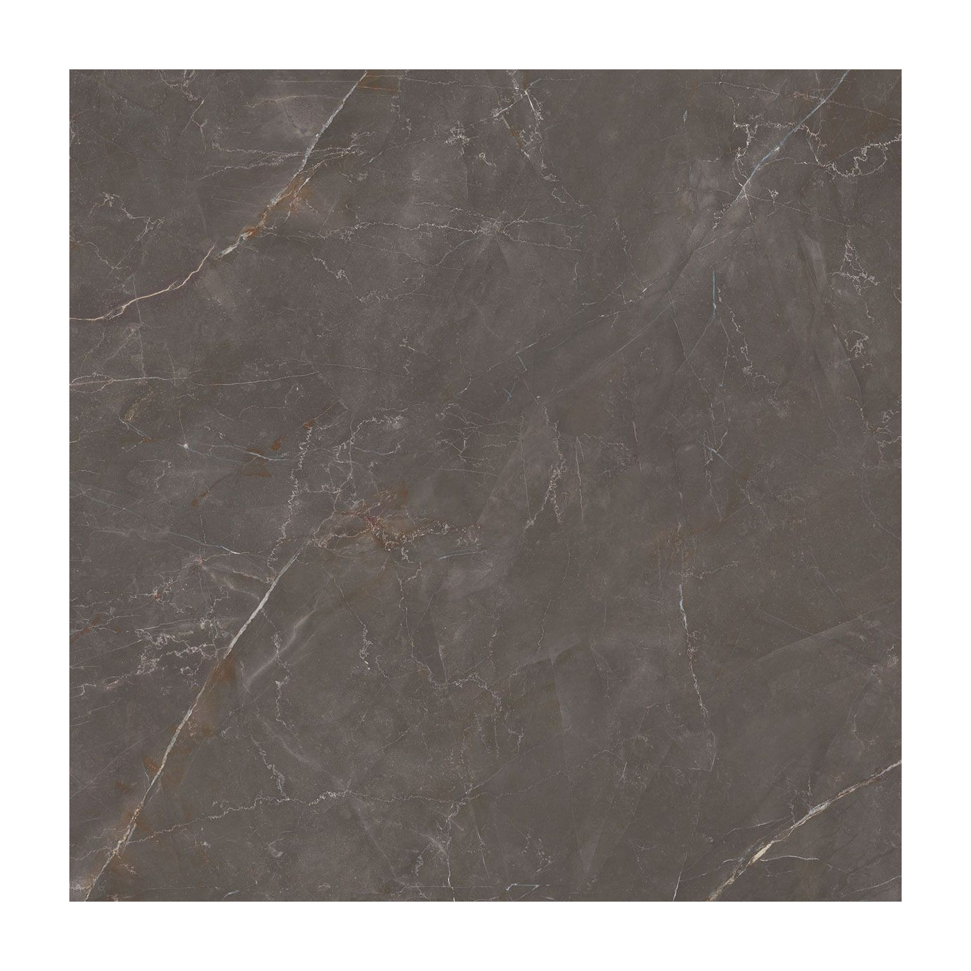 Płytka Podłogowa Elegant Look Brown 119,8x119,8 Ceramica Limone