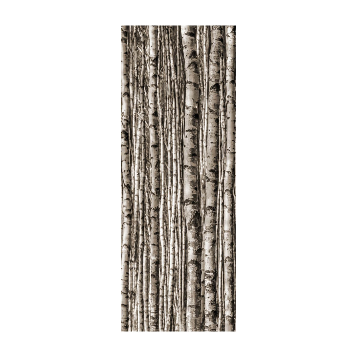 Dekor Ścienny Epoxy Birch 89,8x59,8 Tubądzin