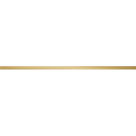 Listwa Ścienna House of Tones Steel Gold 2 Poler 119,8x2,3 Tubądzin
