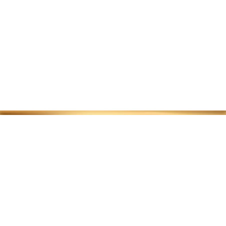 Listwa Ścienna Steel Gold 4 74,8x1,5 gr. 10mm Tubądzin