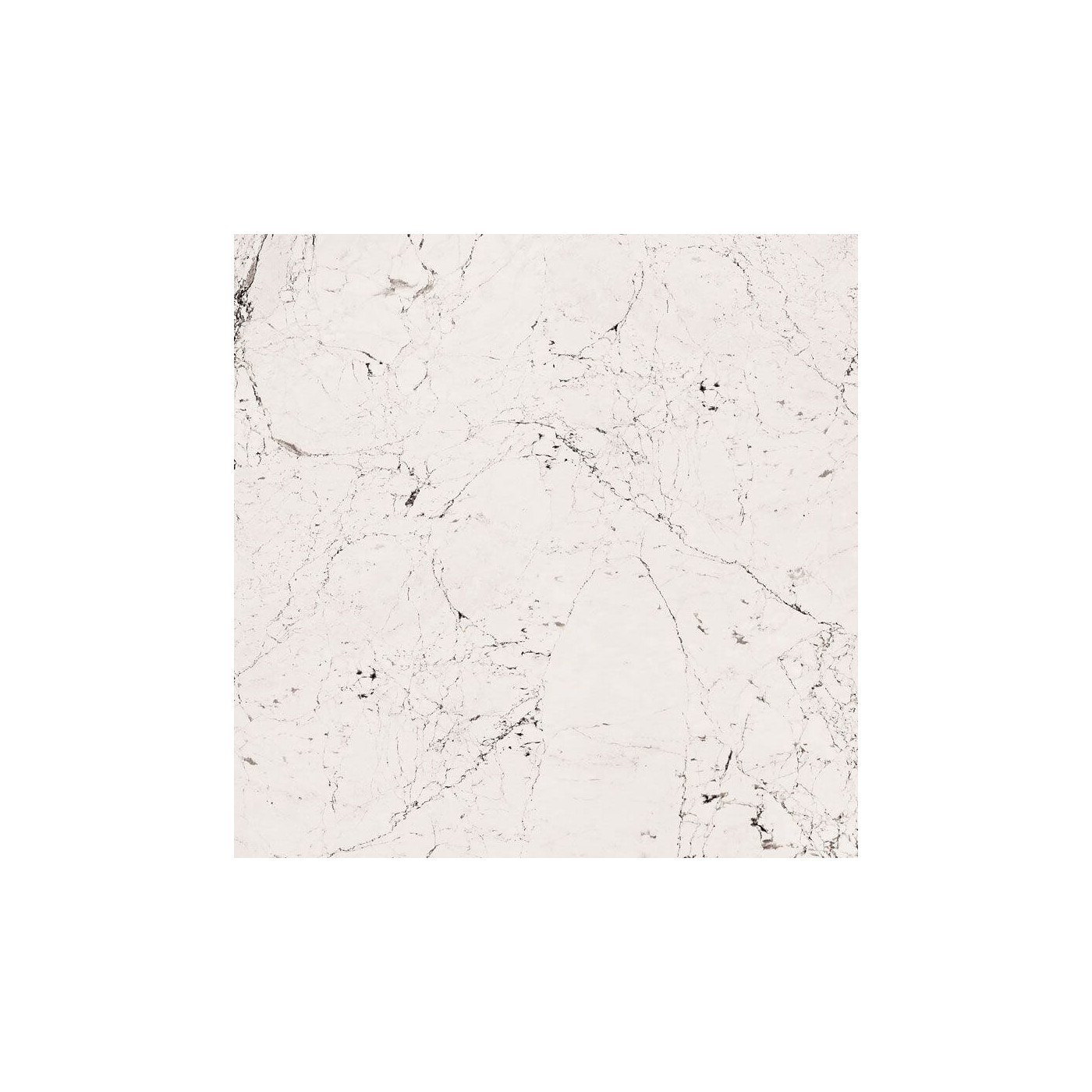 Płytka Sophisticated White Poler 59,8x59,8 Tubądzin