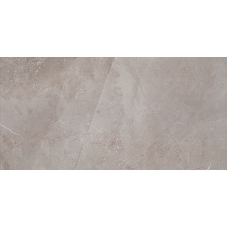 Płytka ścienna Muse Silver 59,8x29,8 Tubądzin Domino