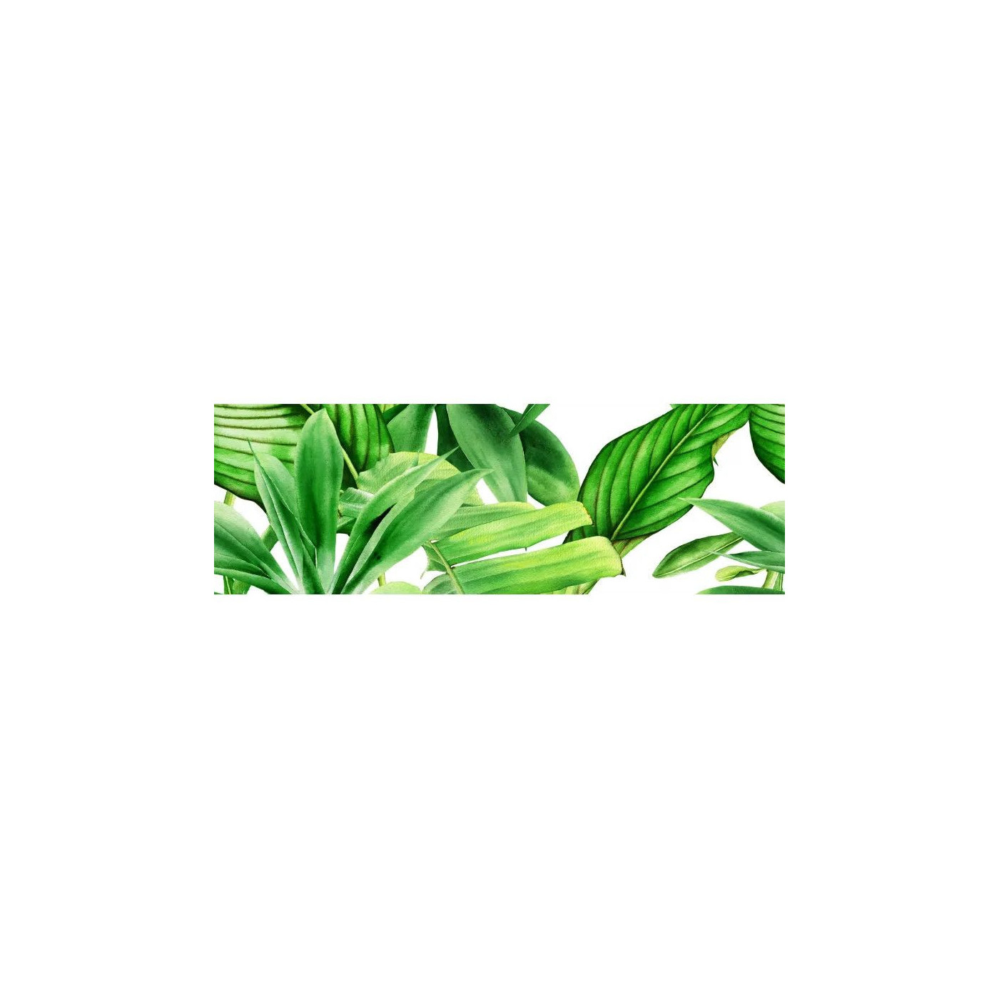 Dekor Garden Tropic A 75x25 Ceramica Bianca