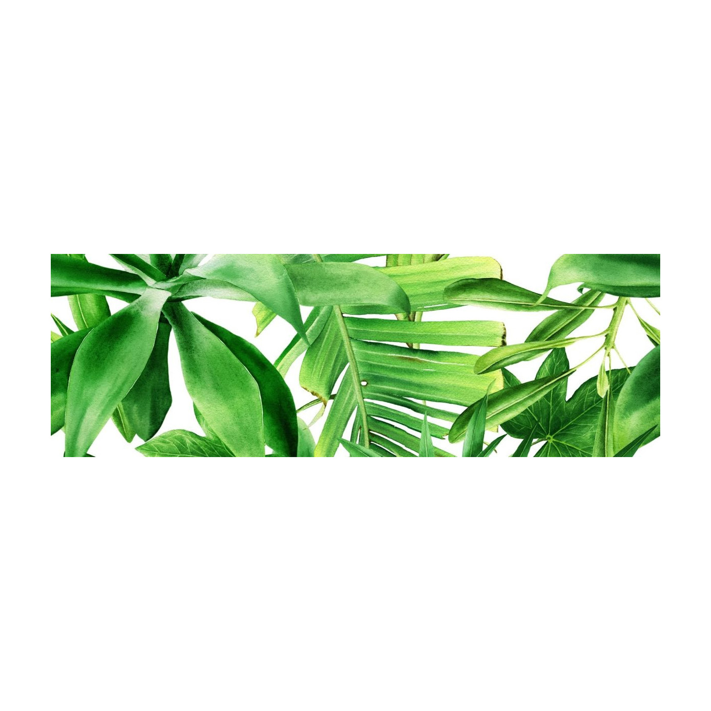 Dekor Garden Tropic B 75x25 Ceramica Bianca