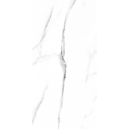 Płytka Podłogowa Roswell White 59,7x29,7 Ceramika Gres