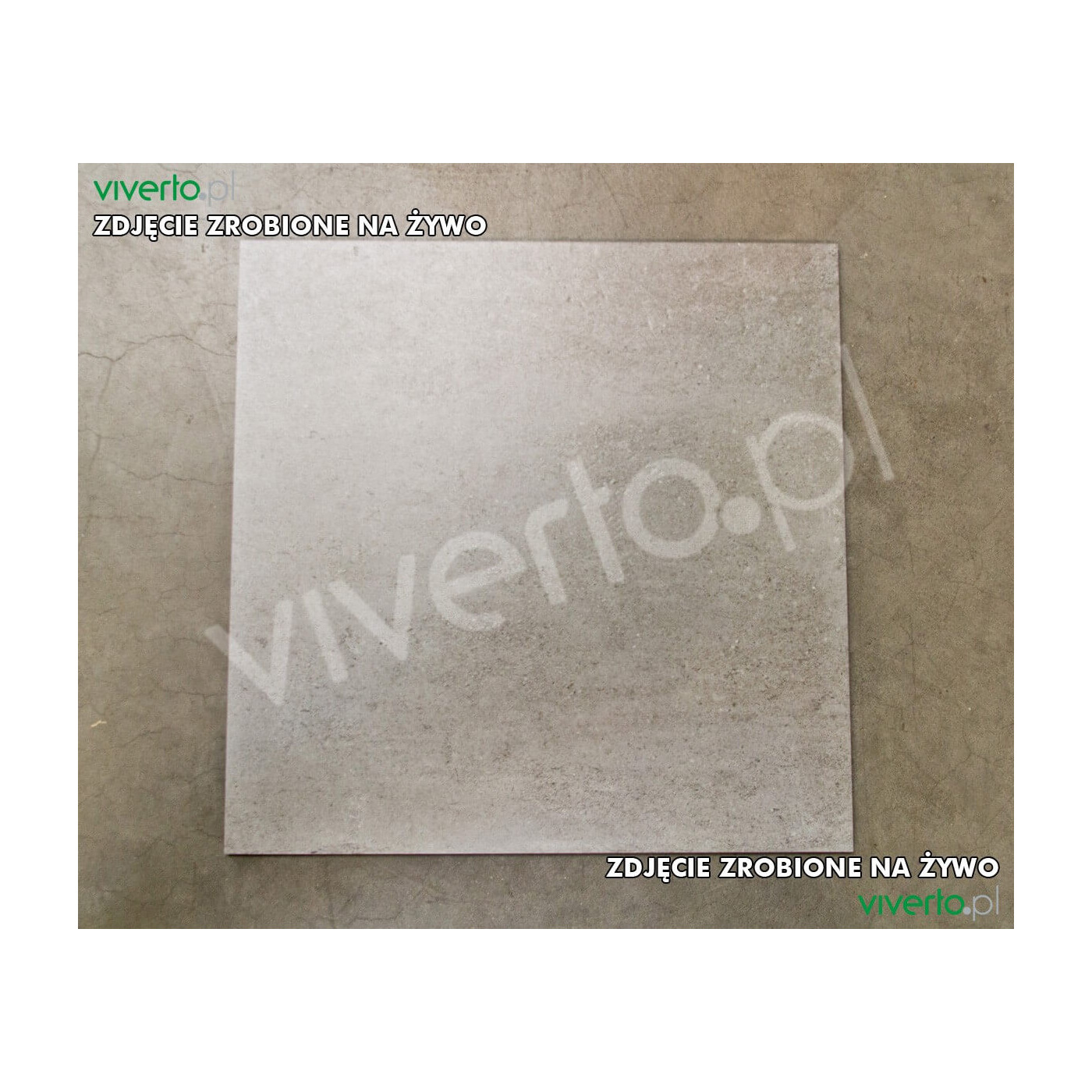 Płytka Ceramiczna Cemento Ciemnoszara 60x60 DAK63661 Rako