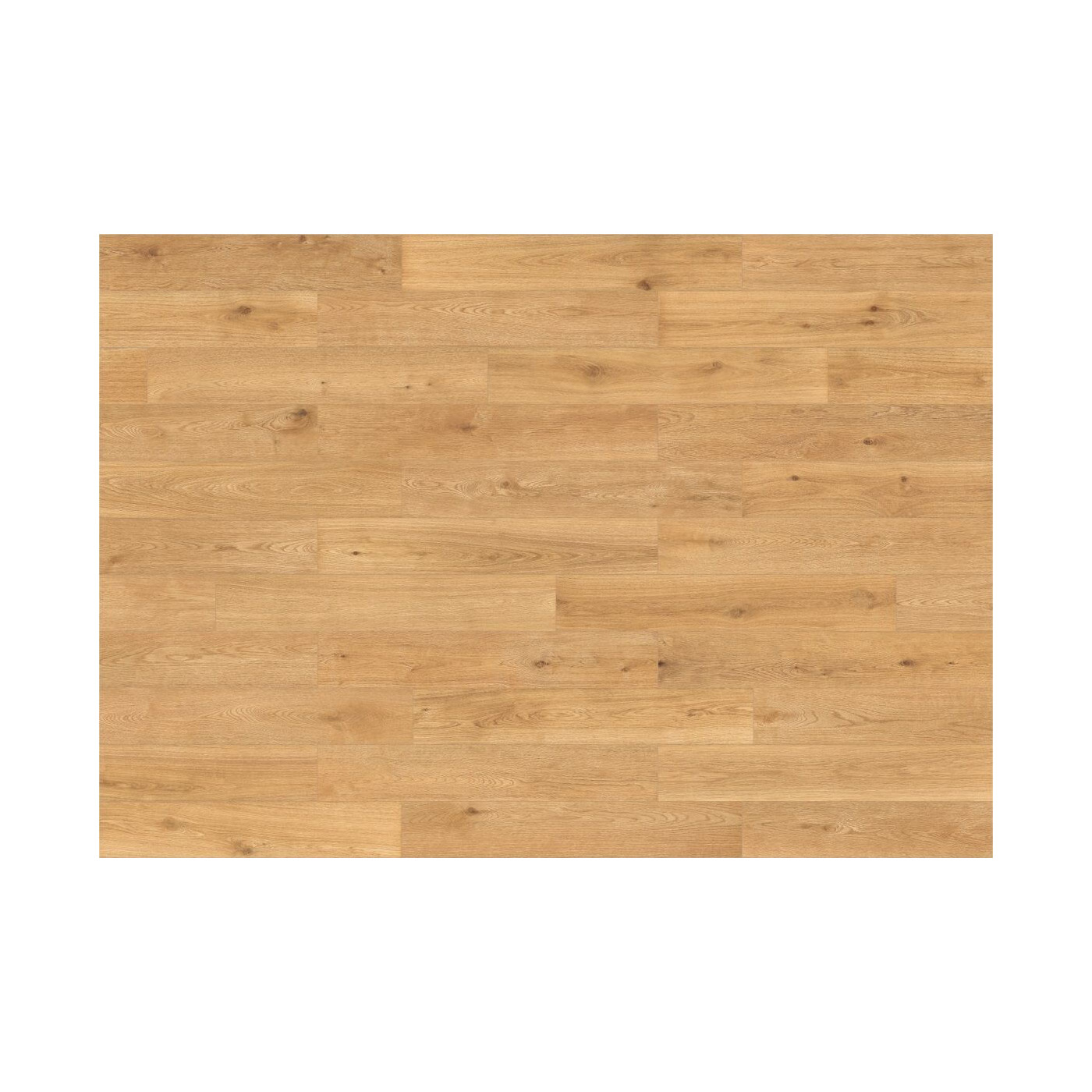 Płytka Podłogowa Oak Classic 20x120 Pecasa