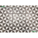 1900 Terrades Grafito 20x20 Vives