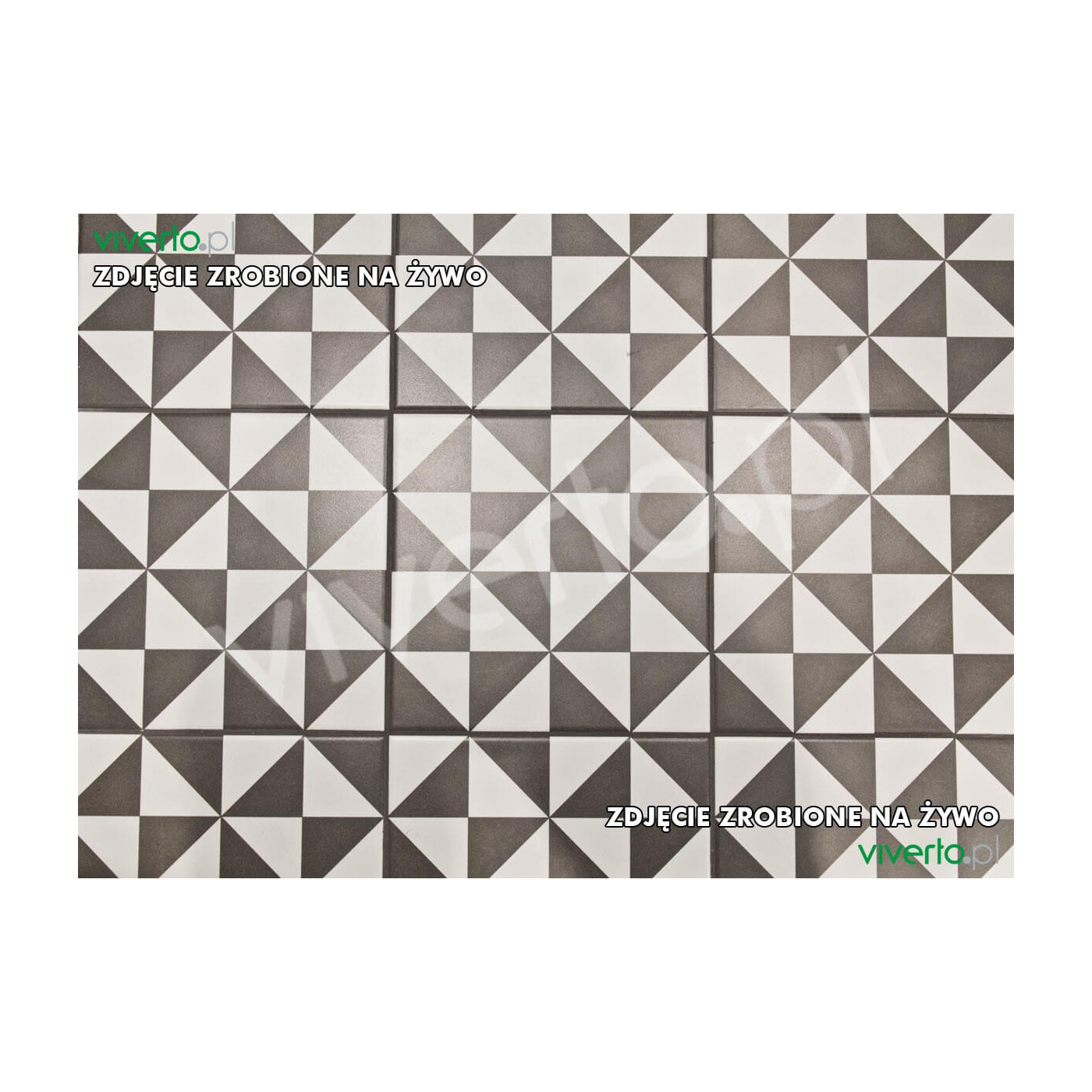 1900 Terrades Grafito 20x20 Vives