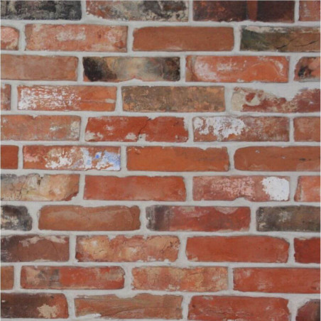 Cegły Płytka Dekoracyjna Cut Brick Retro 25x6 Maxstone