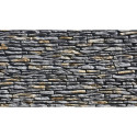 Kamień Dekoracyjny California 2 Grey 55x15 Stegu