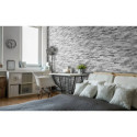 Kamień Naturalny Lunaro 36x10 cm Stegu