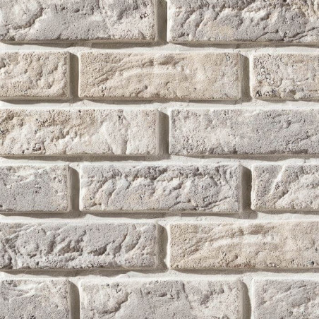 Płytka Cegłopodobna Cambridge 1 20,8x6,3 Stegu