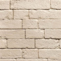 Kamień Dekoracyjny Brickal Z Fugą 36x12,4 Stegu