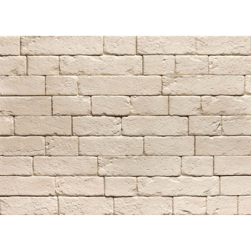 Kamień Dekoracyjny Brickal Z Fugą 36x12,4 Stegu