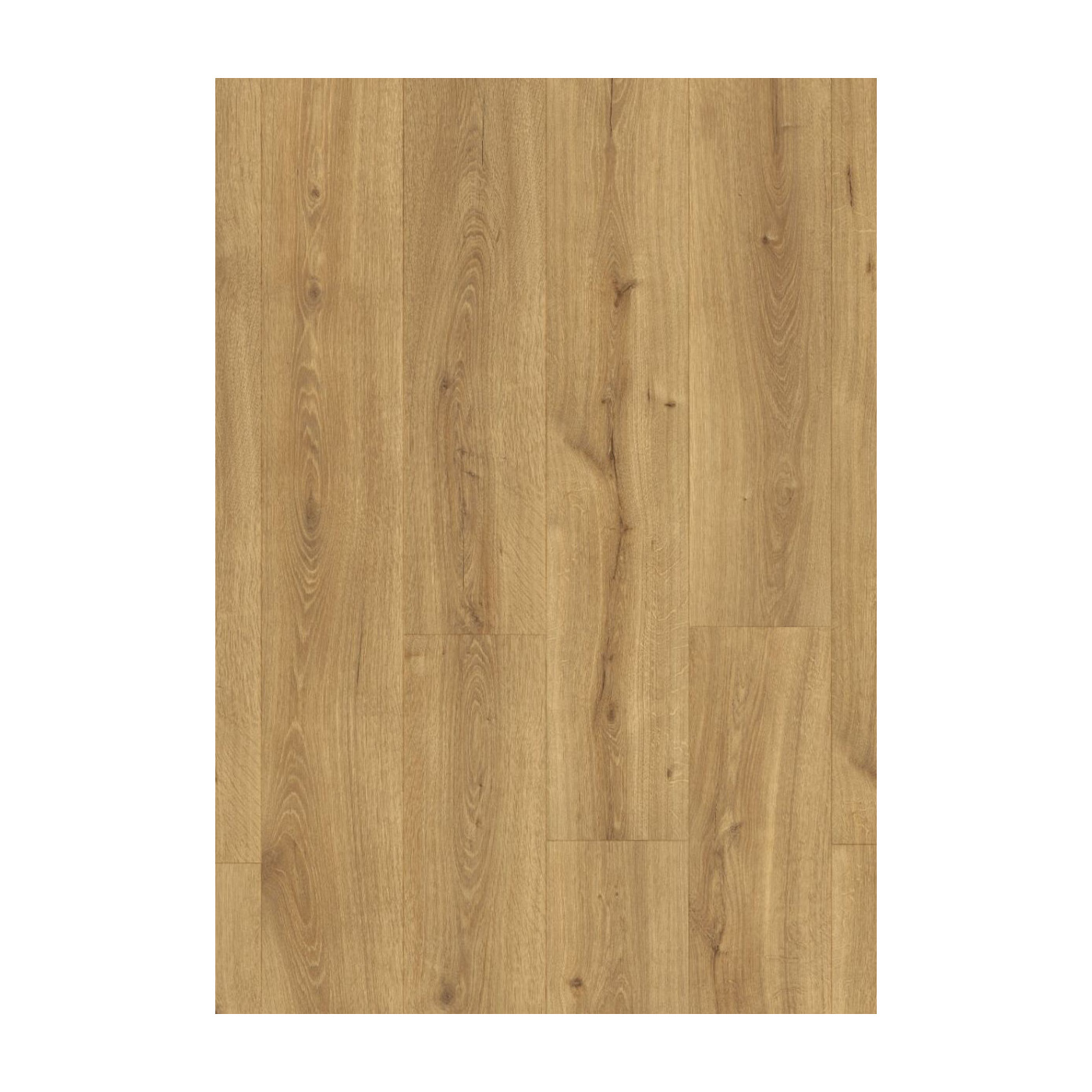 Panel Podłogowy Majestic Dąb Pustynny Naturalny Ciepły 205x24 MJ3551 Quick-Step