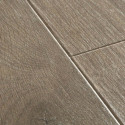 Panel Podłogowy Majestic Dąb Leśny Brązowy 205x24 MJ3548 Quick-Step