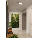Plafon Riza Beton SL.0995 Sollux