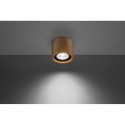 Plafon Basic 1 Drewno SL.0913 Sollux