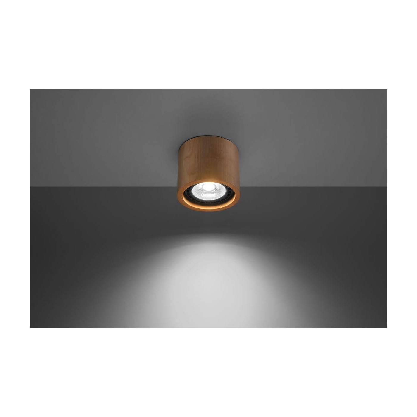 Plafon Basic 1 Drewno SL.0913 Sollux