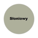 Fuga Cementowa Fm60 Flex Słoniowy 2Kg Murexin