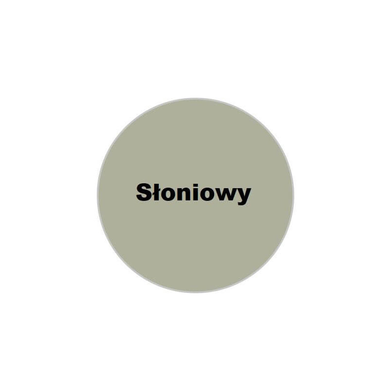 Fuga Cementowa Fm60 Flex Słoniowy 2Kg Murexin