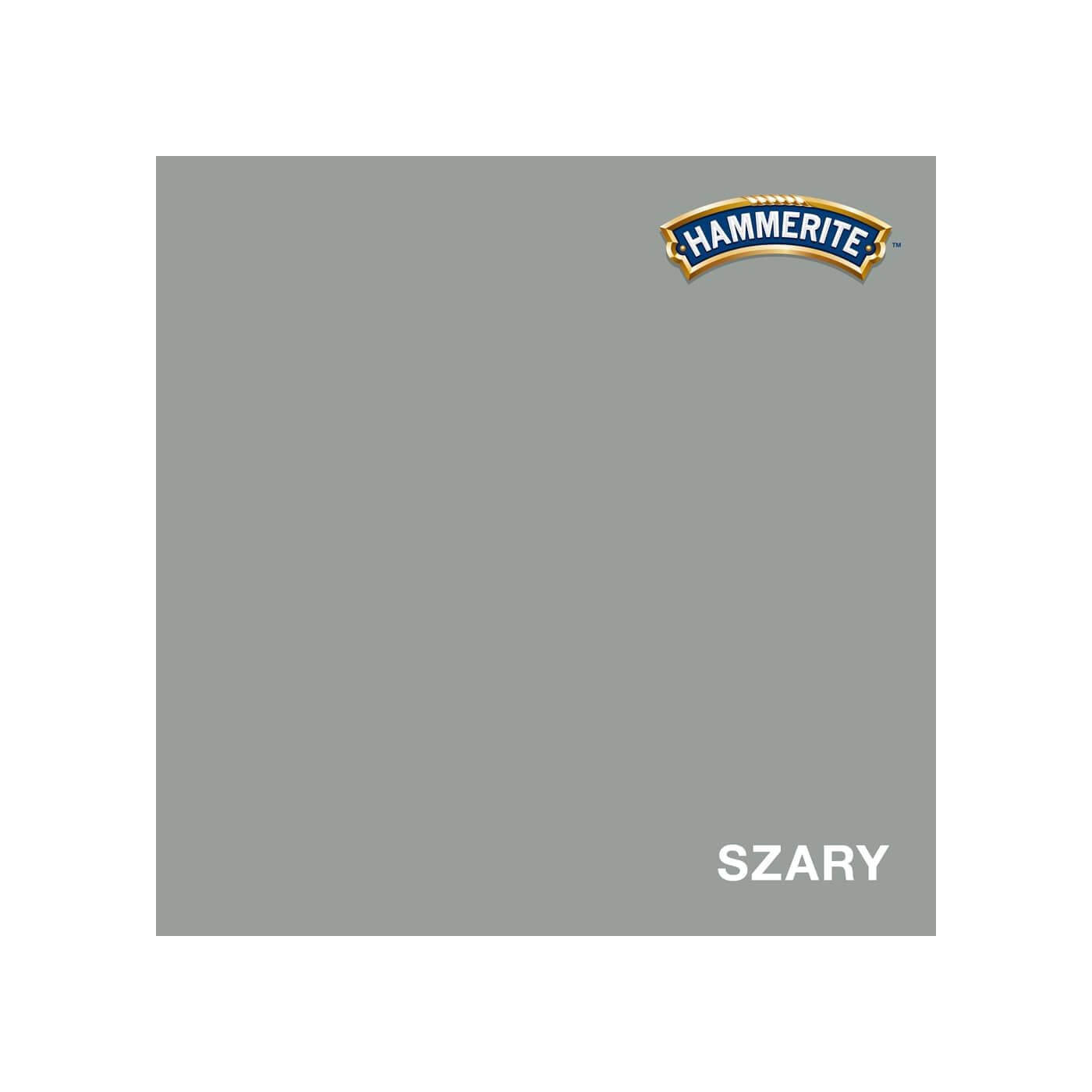 Farba Prosto Na Rdzę Półmat Szary 0.25L Hammerite