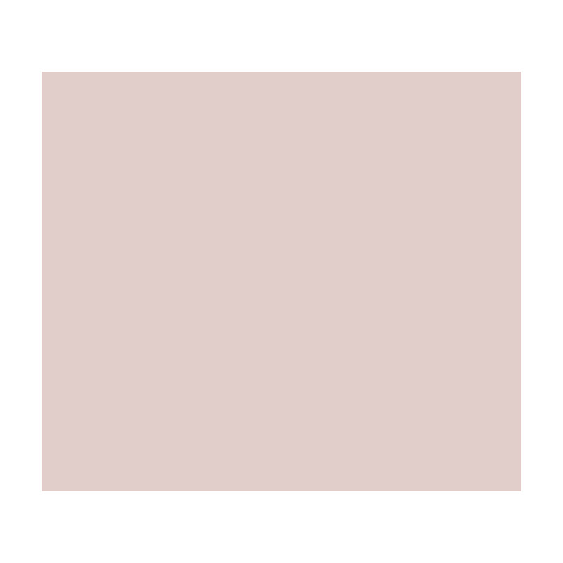 Farba Lateksowa Designer Colour Powder Pink 5L Beckers