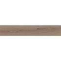 Płytka Poetry Wood Oak  Mat 20x120 ABK