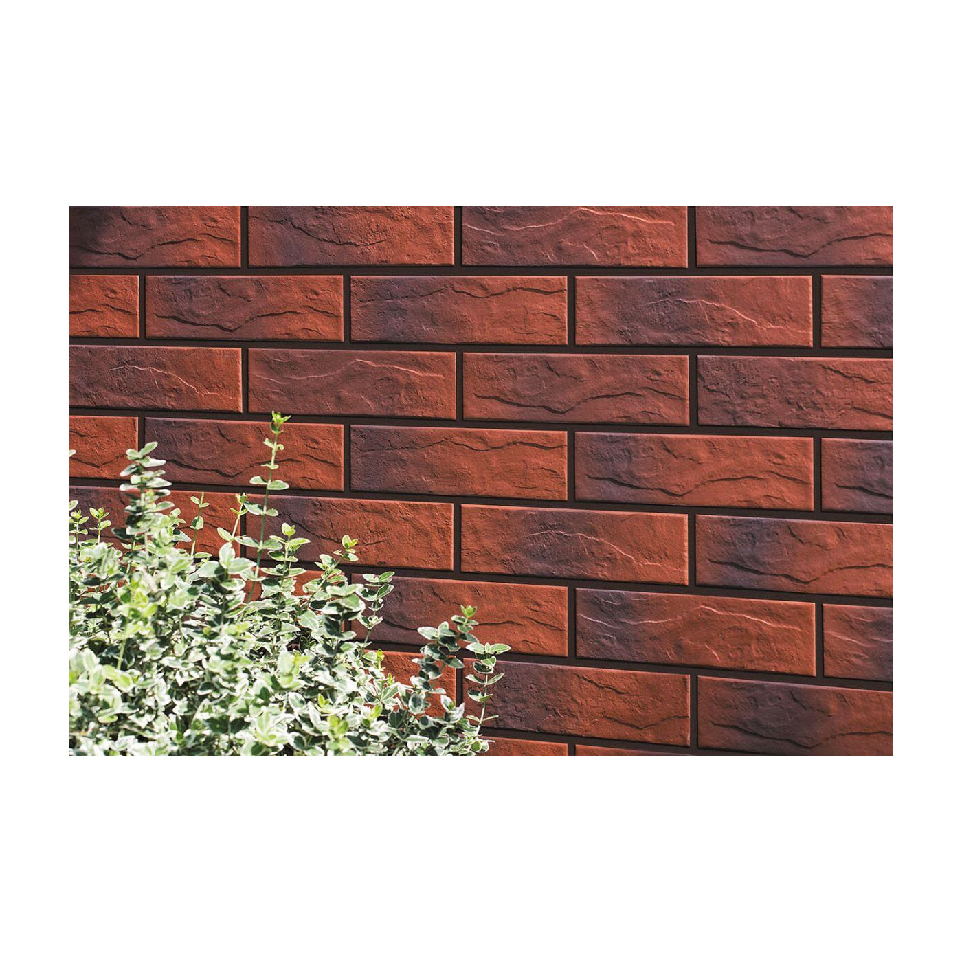 Elewacja Cieniowana Burgund STR 6,5x24,5 Cerrad
