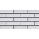 Płytka ścienna Foggia Bianco 6,5x24,5 Cerrad
