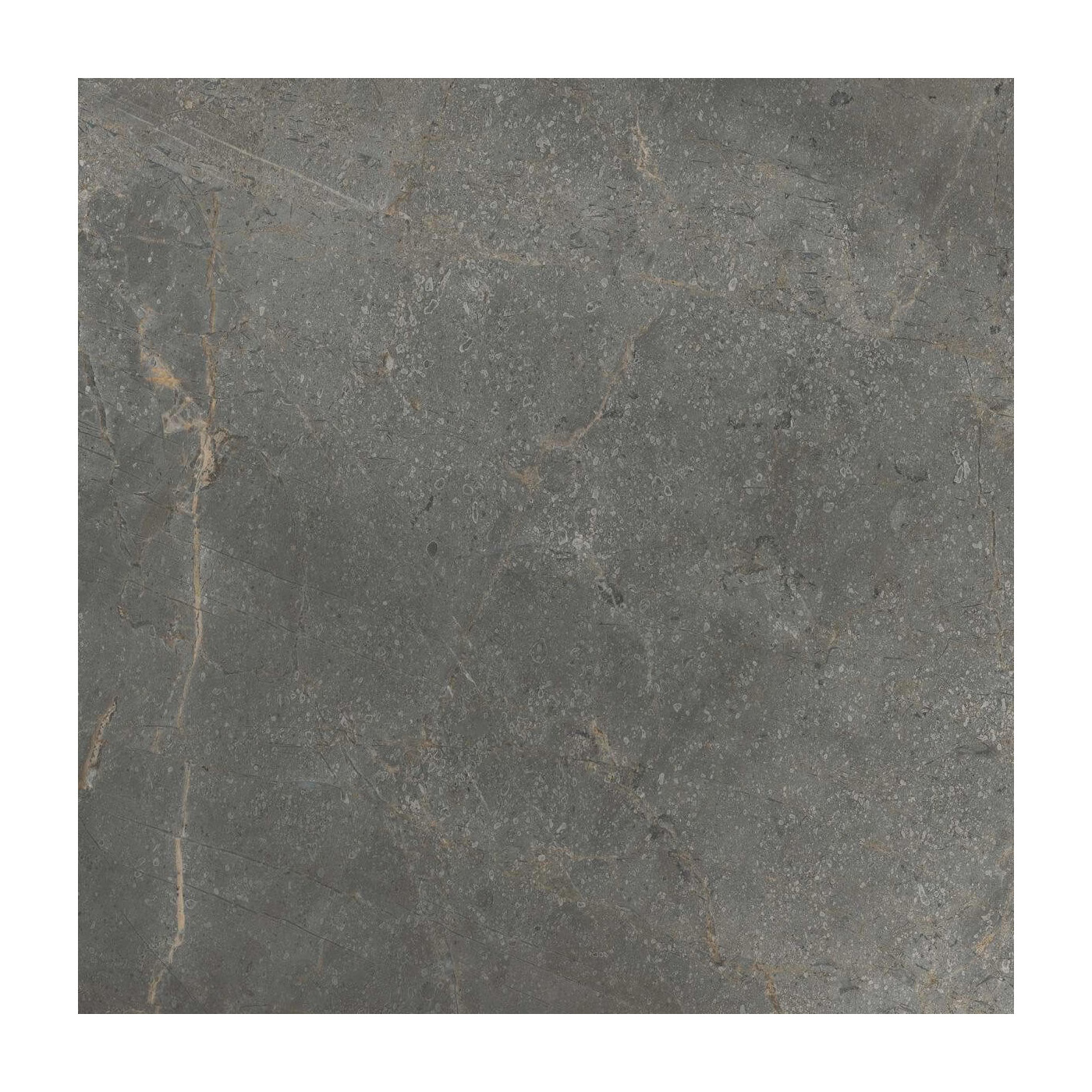 Płytka Masterstone Graphite 59,7x59,7 Cerrad